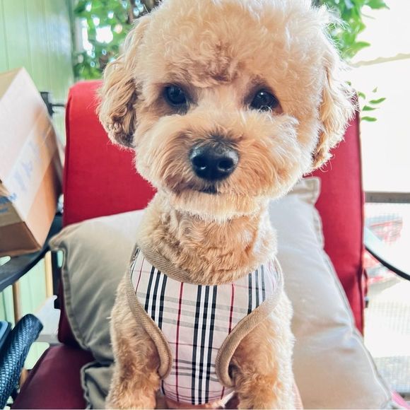 HOSTย PICK!โโจโจโจ๐๐๐๐๐๏ธ๐๏ธ๐๏ธ - Picture 2 of 5